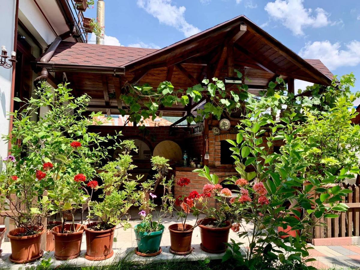 Casa Olanesti Hotel Baile Olanesti Bagian luar foto