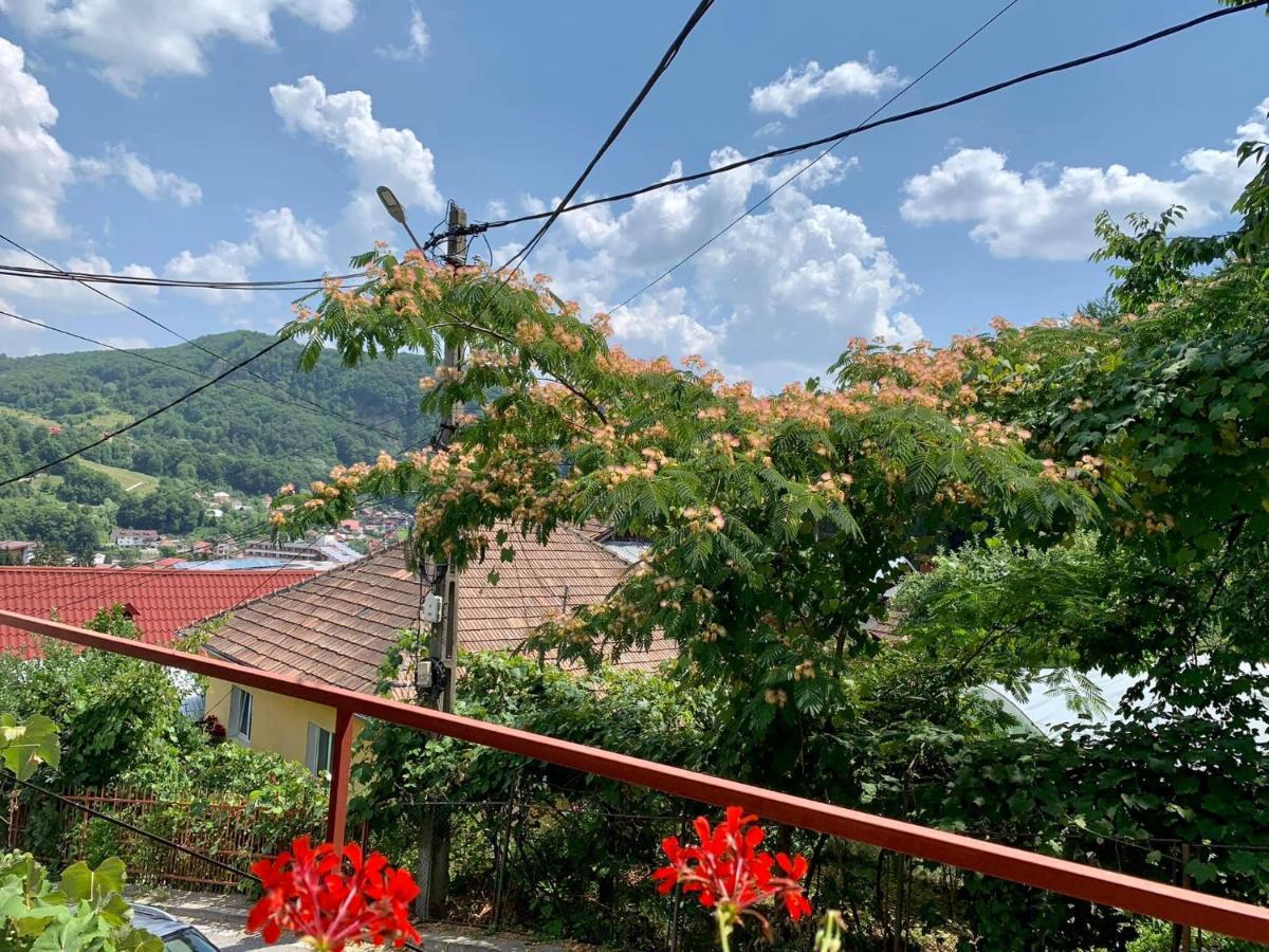 Casa Olanesti Hotel Baile Olanesti Bagian luar foto